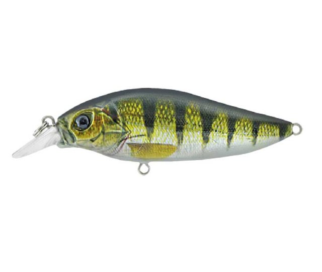 Kamatsu Shallow Shad 8cm f.01