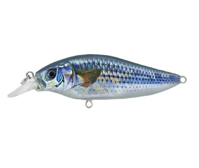 Kamatsu Shallow Shad 8cm f.05