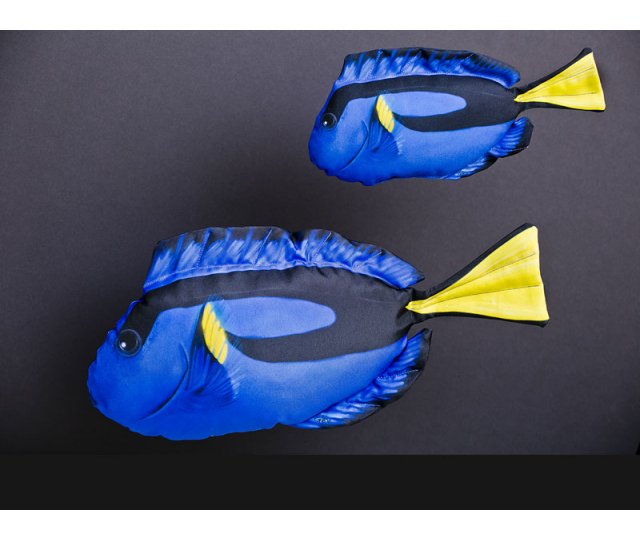 GB Dory 32cm