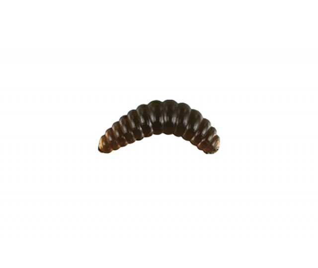 NM78005302 Nomura Honey worm 2cm 0,35g f.053 12ks/bal