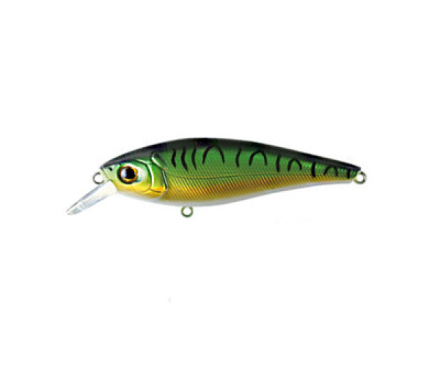 Jerk Evolution 7,8 cm